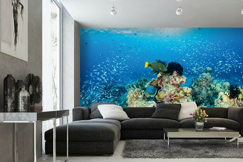 Vlies Fototapete - Tropisches Korallenriff 375 x 250 cm